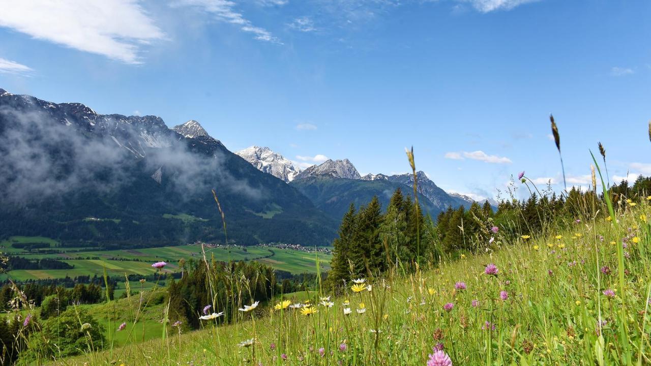 Panoramahof Am Goldberg * Dellach (Hermagor)