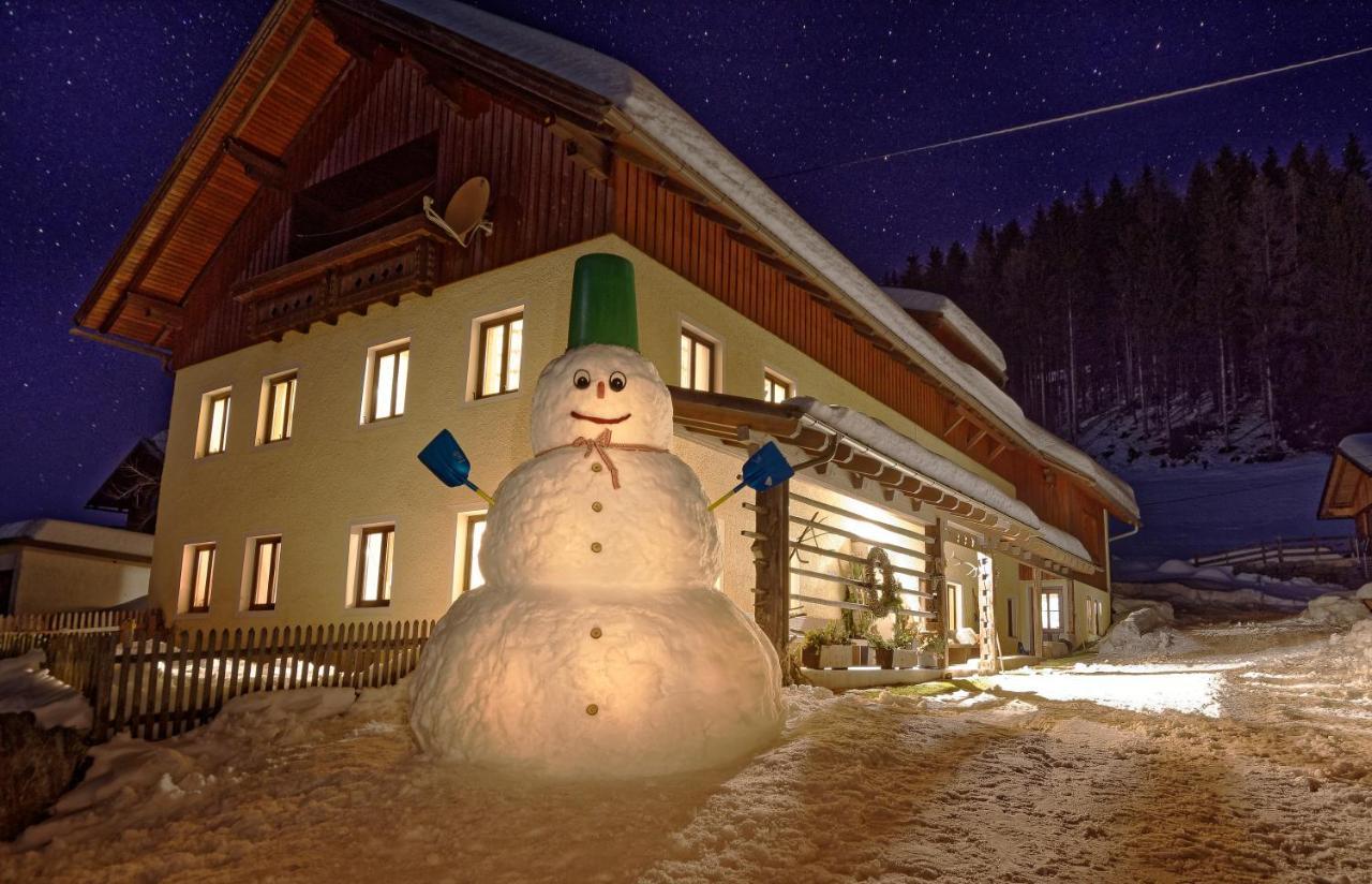 Panoramahof Am Goldberg Apartment Dellach (Hermagor)